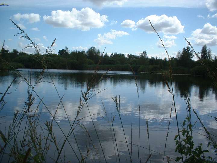 Ostrohe