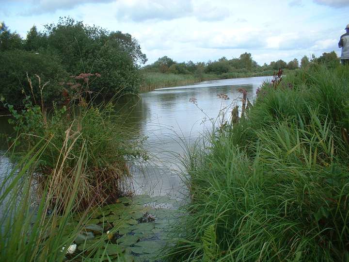 Warwerorter Kanal